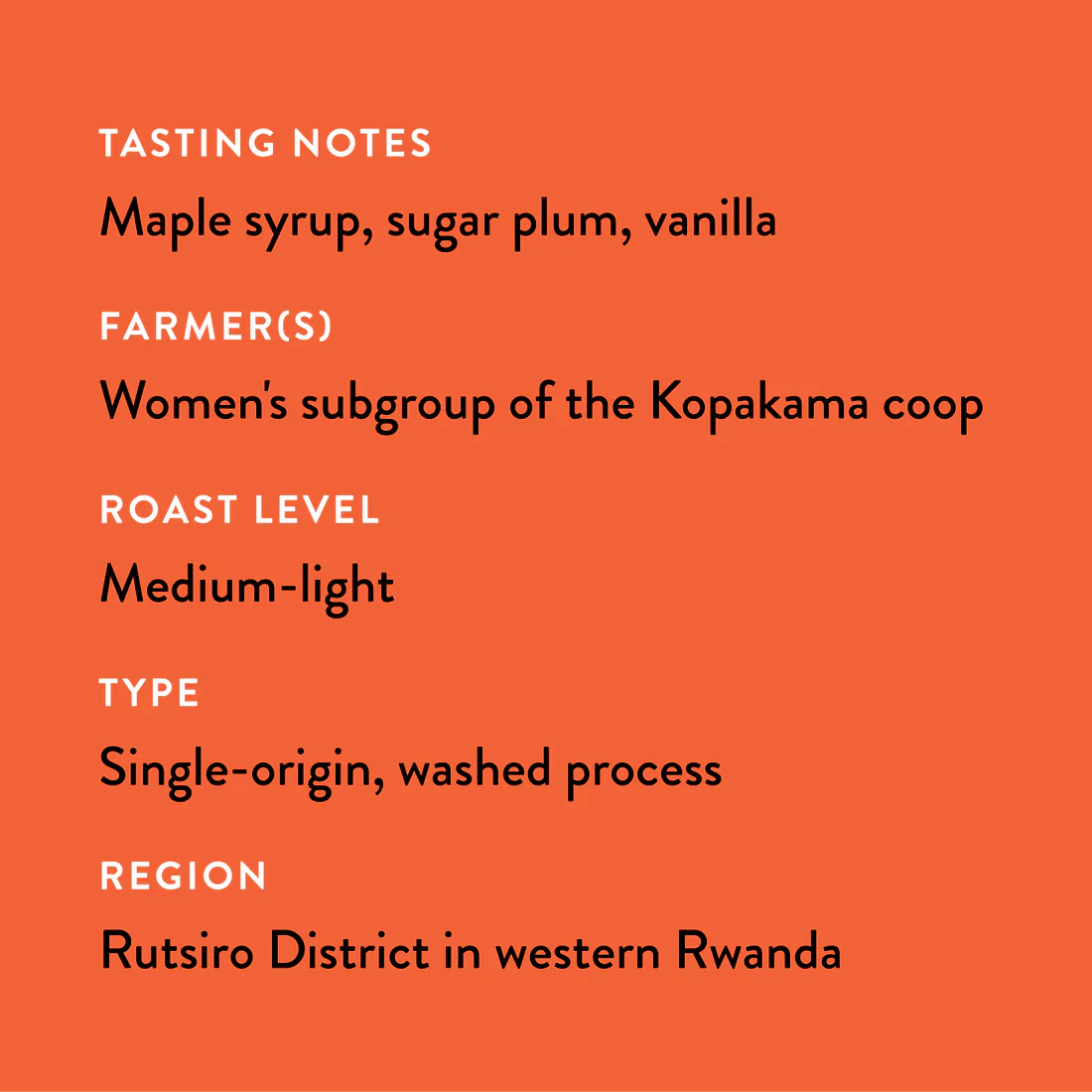 Ejo Heza's Rwanda Single Origin Coffee - Image 3