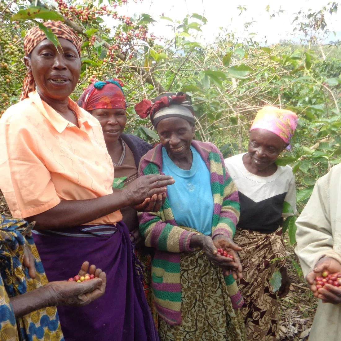 Ejo Heza's Rwanda Single Origin Coffee - Image 4