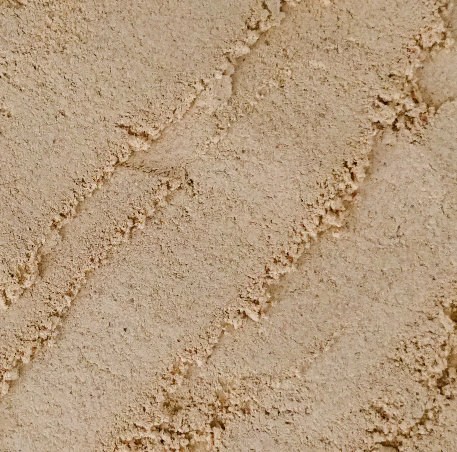 Nepali Ginger - Image 2